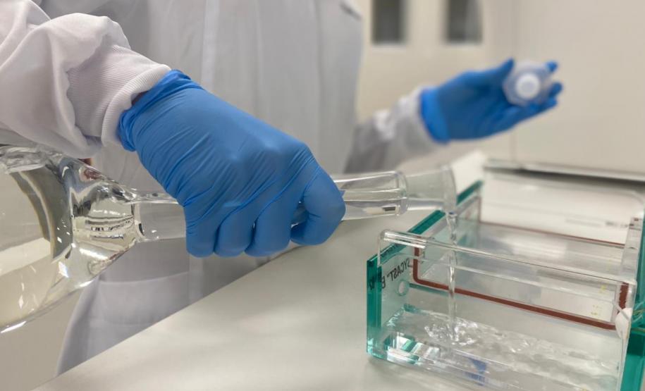 Rede Paranaense de Diagnóstico Molecular SARS-CoV-2