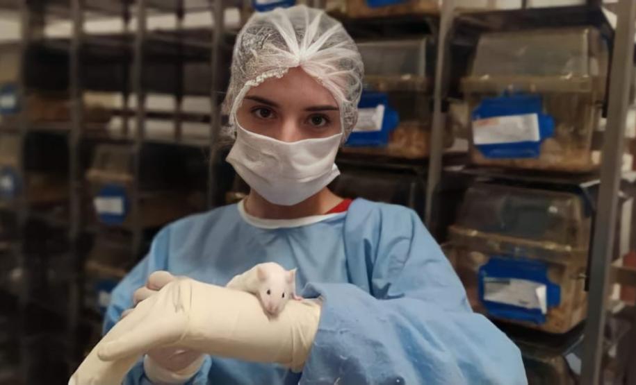 Pesquisa da UEM analisa novos tratamentos para toxoplasmose