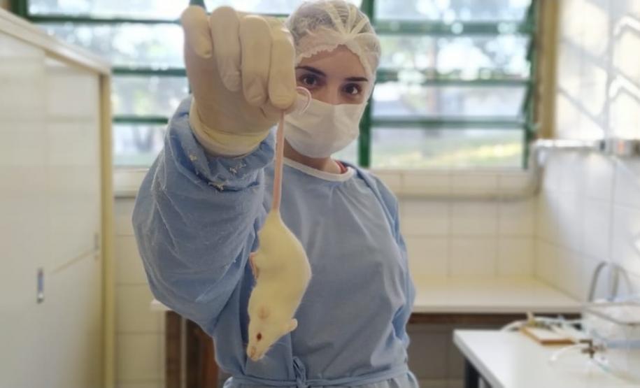 Pesquisa da UEM analisa novos tratamentos para toxoplasmose