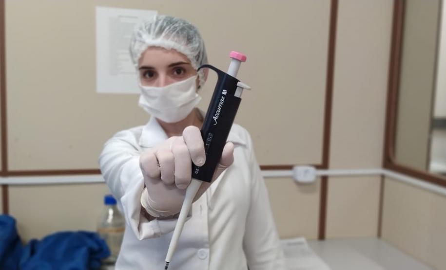 Pesquisa da UEM analisa novos tratamentos para toxoplasmose