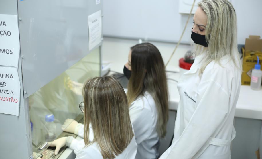 Pesquisa da Unioeste produz nanopartículas com bioativos de plantas brasileiras