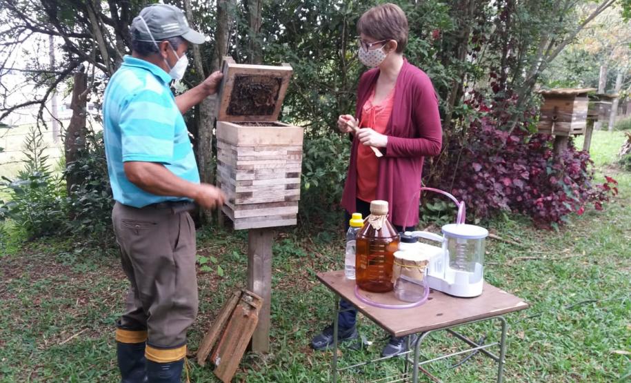 Universidades Estaduais impulsionam a produção de mel no Paraná