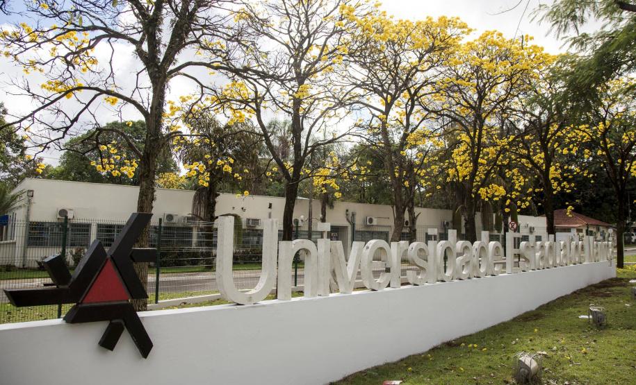 UEM e UEL são classificadas entre as universidades que mais produzem pesquisa no mundo