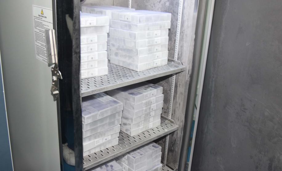 Paraná descentraliza vacinas da Pfizer para 77 municípios; lote contém doses do Ensino Superior