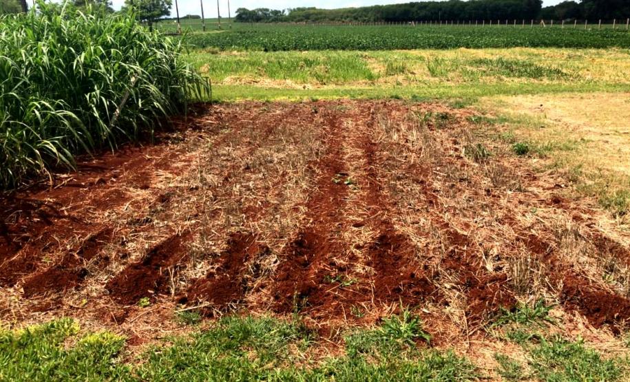 Unioeste incentiva produção de leite orgânico em propriedades da Agricultura Familiar