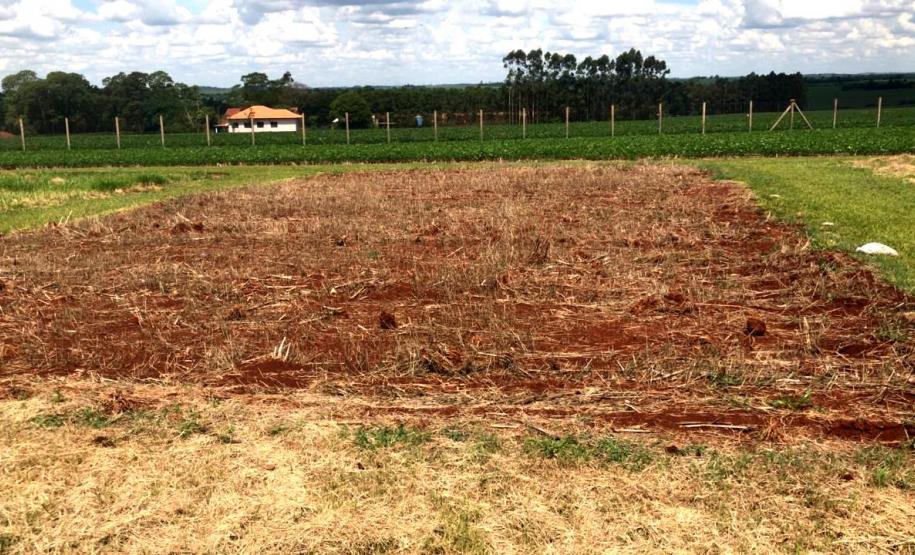Unioeste incentiva produção de leite orgânico em propriedades da Agricultura Familiar