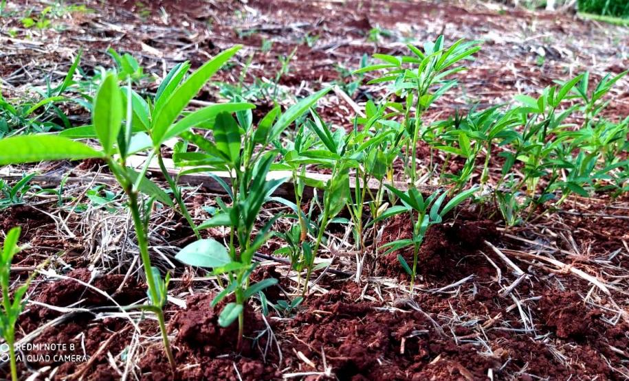 Unioeste incentiva produção de leite orgânico em propriedades da Agricultura Familiar
