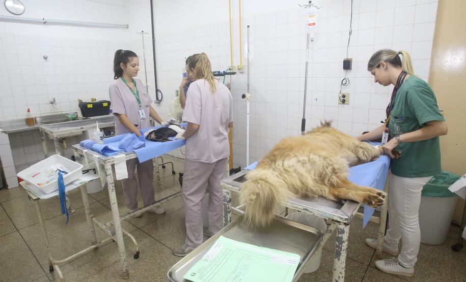 Universidades Estaduais do Paraná