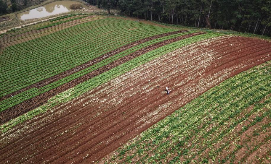 Paraná Mais Orgânico