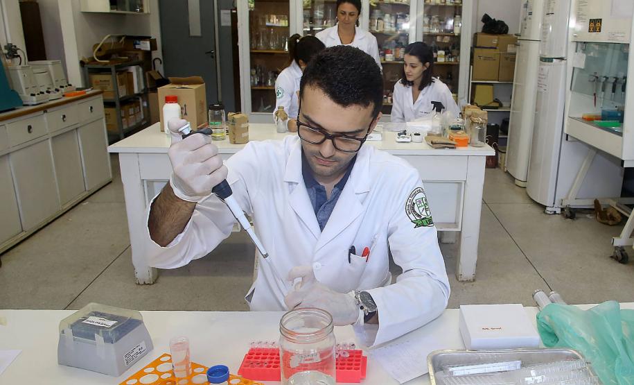 Universidades Estaduais do Paraná