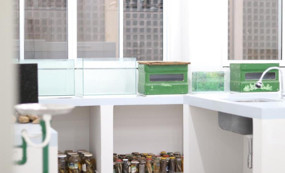 Unioeste inaugura instalações para pesquisas nas áreas de Biologia e Saúde em Cascavel