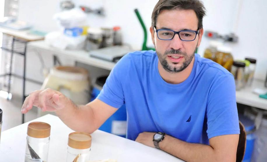 Pesquisadores da UEL investigam duas novas espécies de peixes fluviais