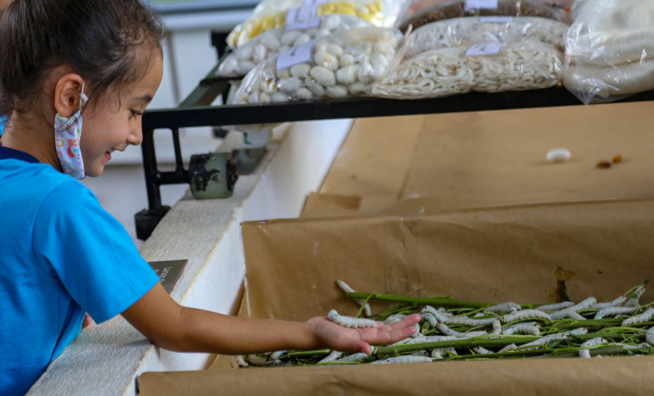 Em alta na ExpoLondrina, ciência e tecnologia desenvolvem o agronegócio do futuro