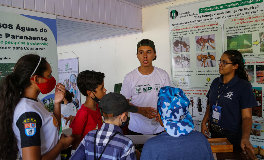 Em alta na ExpoLondrina, ciência e tecnologia desenvolvem o agronegócio do futuro