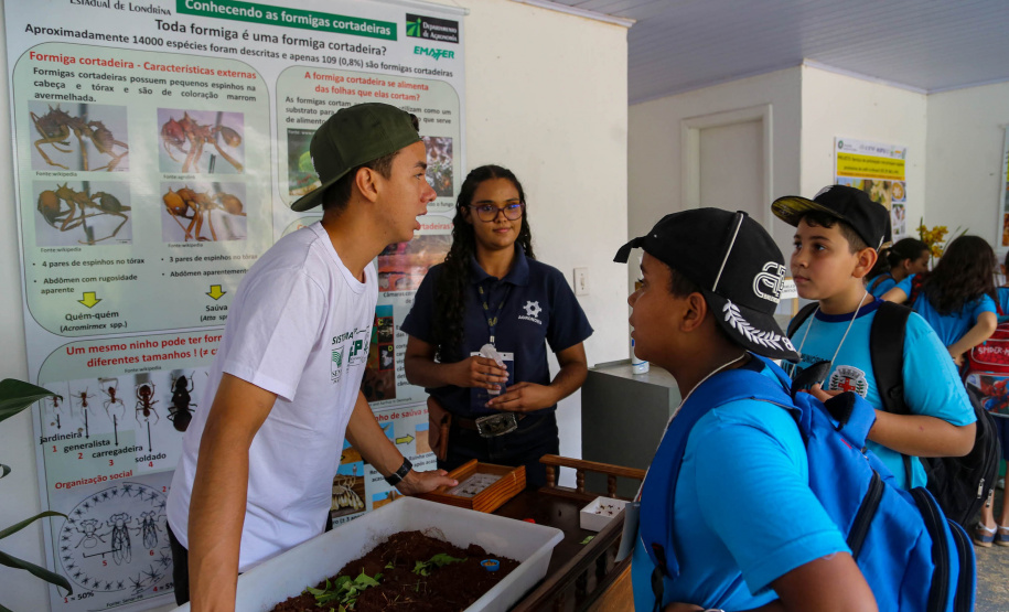 Em alta na ExpoLondrina, ciência e tecnologia desenvolvem o agronegócio do futuro
