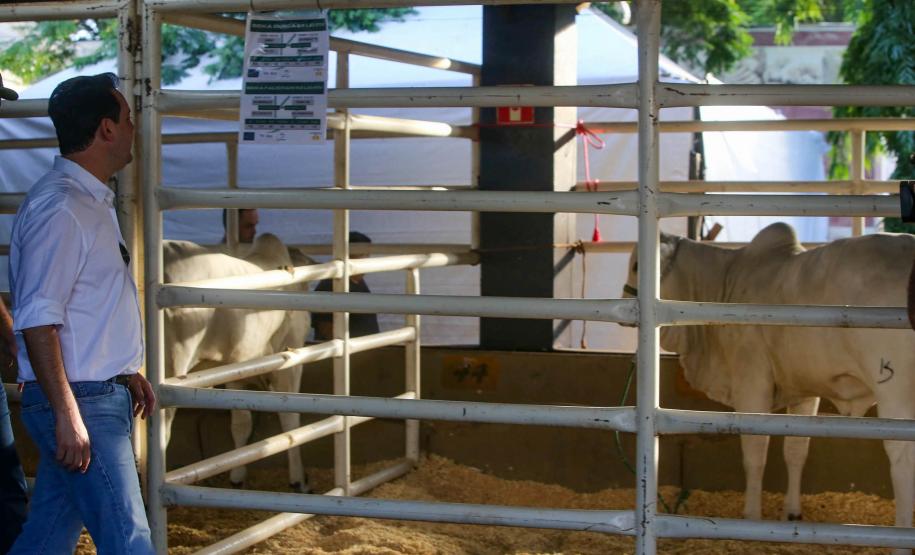 Governador conhece projeto de alimentação do futuro desenvolvido em Londrina