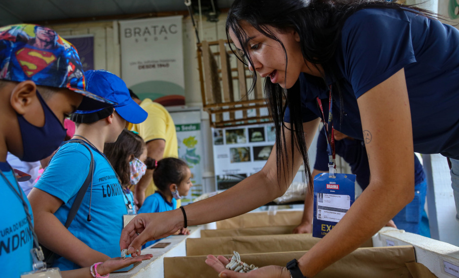 Em alta na ExpoLondrina, ciência e tecnologia desenvolvem o agronegócio do futuro