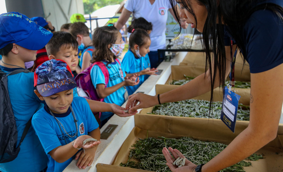 Em alta na ExpoLondrina, ciência e tecnologia desenvolvem o agronegócio do futuro
