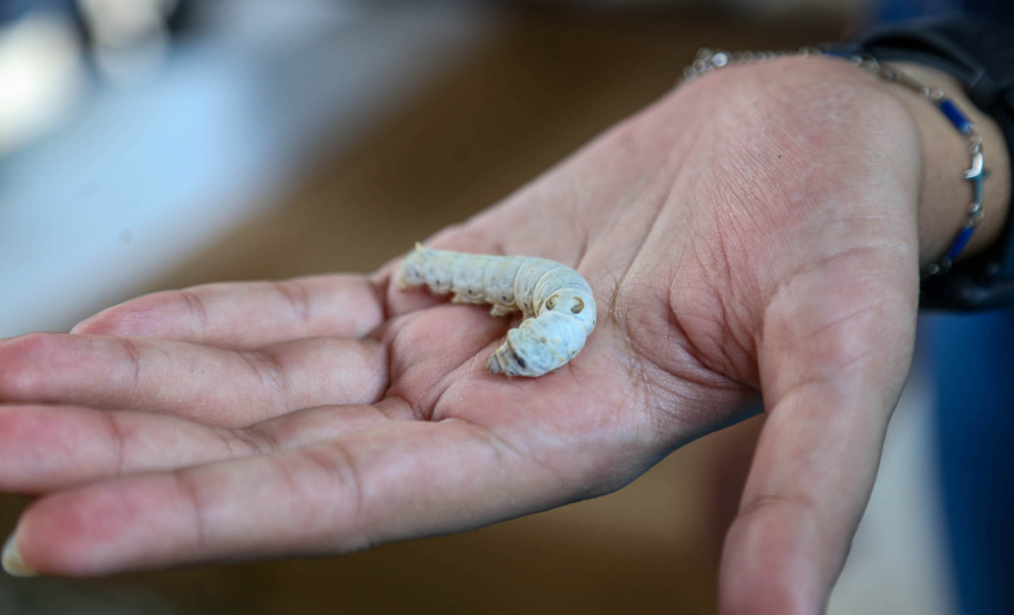 Em alta na ExpoLondrina, ciência e tecnologia desenvolvem o agronegócio do futuro