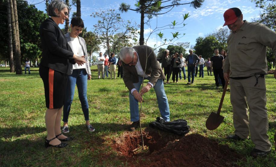 UEL comemora aniversário com plantio da 51ª peroba rosa e homenagem a professor