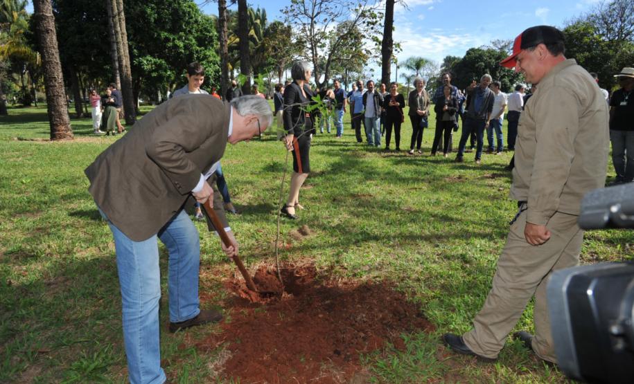 UEL comemora aniversário com plantio da 51ª peroba rosa e homenagem a professor