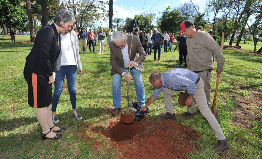 UEL comemora aniversário com plantio da 51ª peroba rosa e homenagem a professor