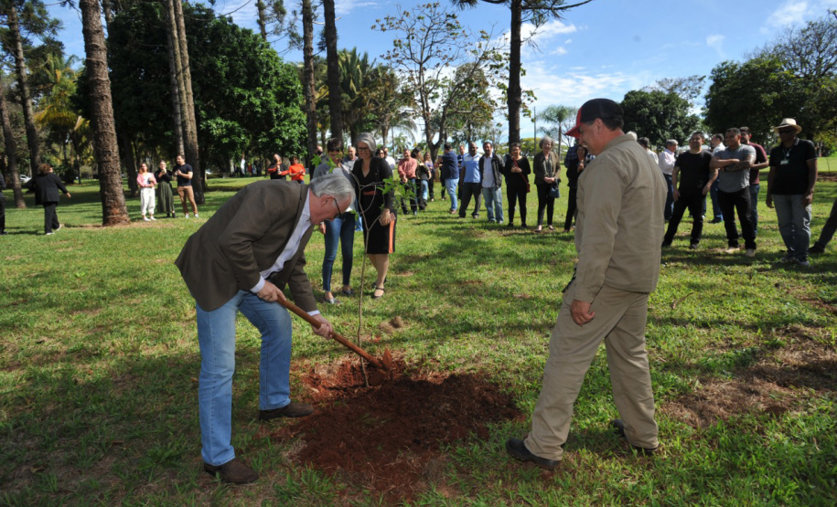 UEL comemora aniversário com plantio da 51ª peroba rosa e homenagem a professor