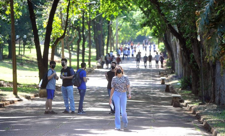 Governo lança curso de sustentabilidade para alunos das sete universidade estaduais