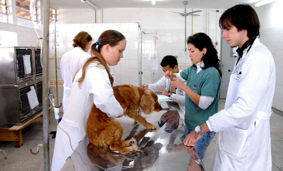 Além de ensino, universidades estaduais atendem a comunidade com diversos serviços