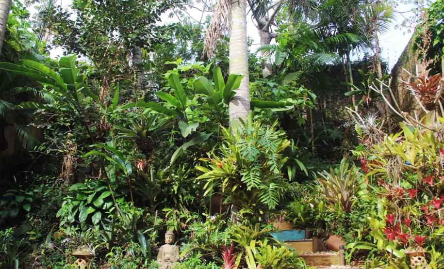 Projeto da UEL investiga potencial das plantas ornamentais da flora brasileira