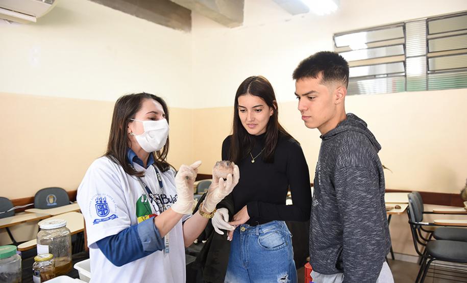 Primeira Feira de Profissões da UENP reúne mais de 3 mil estudantes