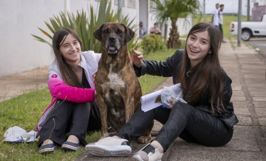 UEPG reuniu mais de 14 mil candidatos nas provas do PSS neste domingo