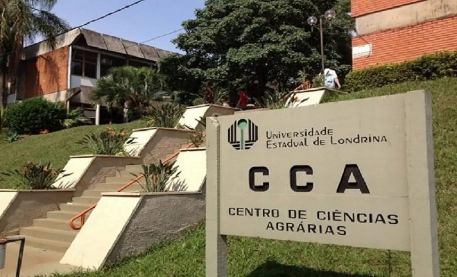 Projeto da UEL monitora e analisa animais encalhados no Litoral