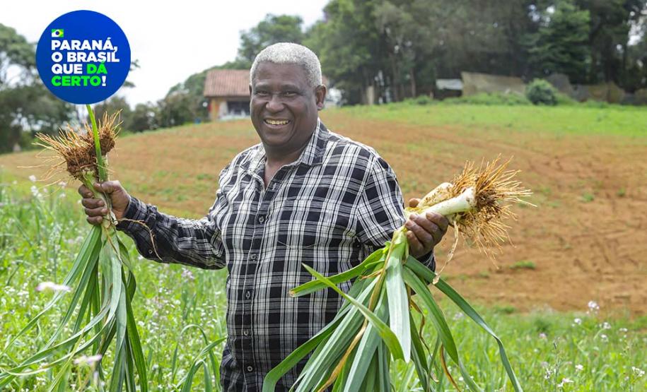 Líder nacional em alimentos orgânicos, Paraná investe para ampliar produção e consumo