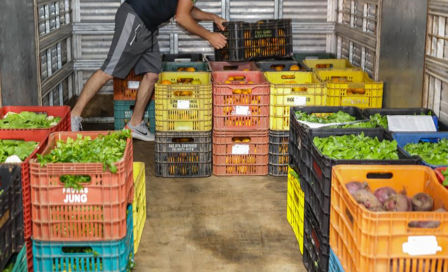 Líder nacional em alimentos orgânicos, Paraná investe para ampliar produção e consumo
