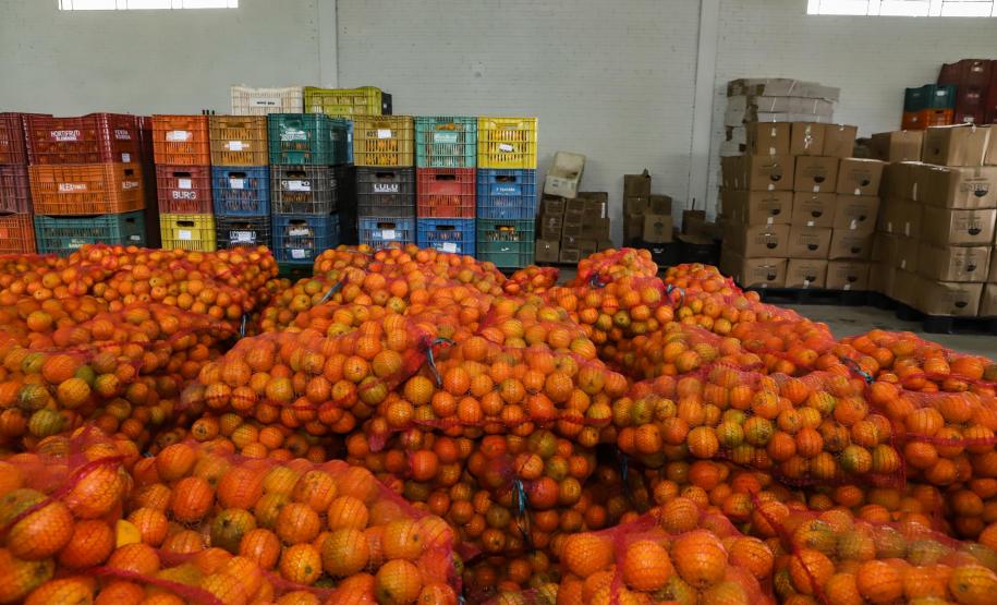 Líder nacional em alimentos orgânicos, Paraná investe para ampliar produção e consumo