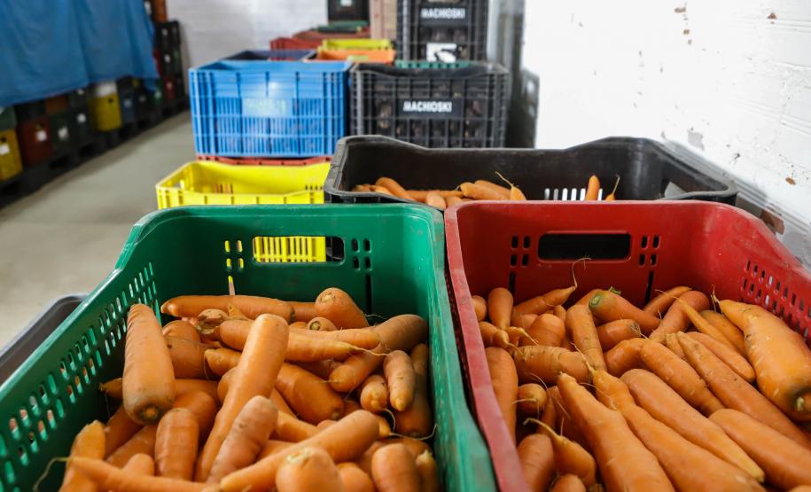 Líder nacional em alimentos orgânicos, Paraná investe para ampliar produção e consumo