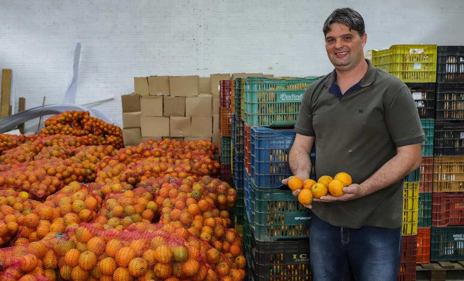 Líder nacional em alimentos orgânicos, Paraná investe para ampliar produção e consumo