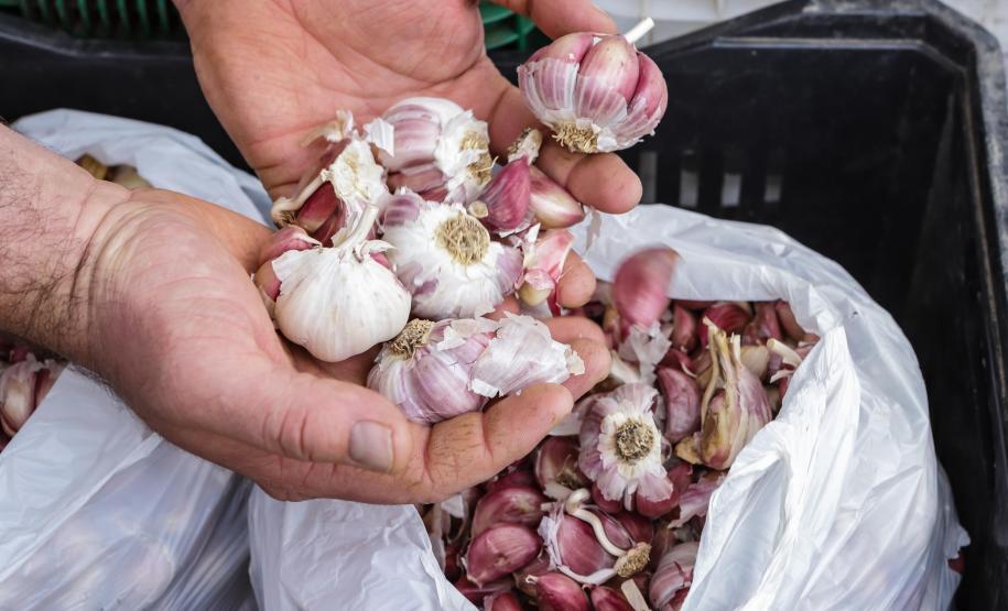 Líder nacional em alimentos orgânicos, Paraná investe para ampliar produção e consumo