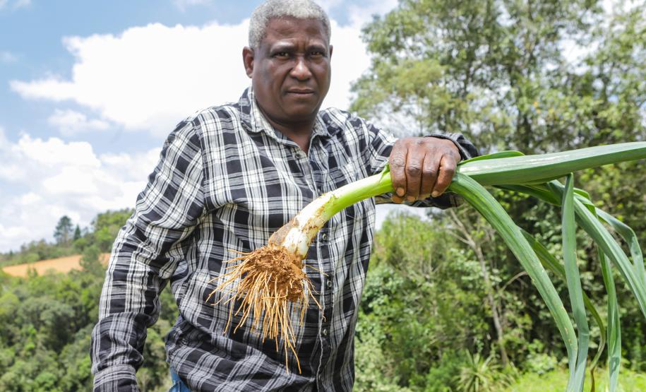 Líder nacional em alimentos orgânicos, Paraná investe para ampliar produção e consumo