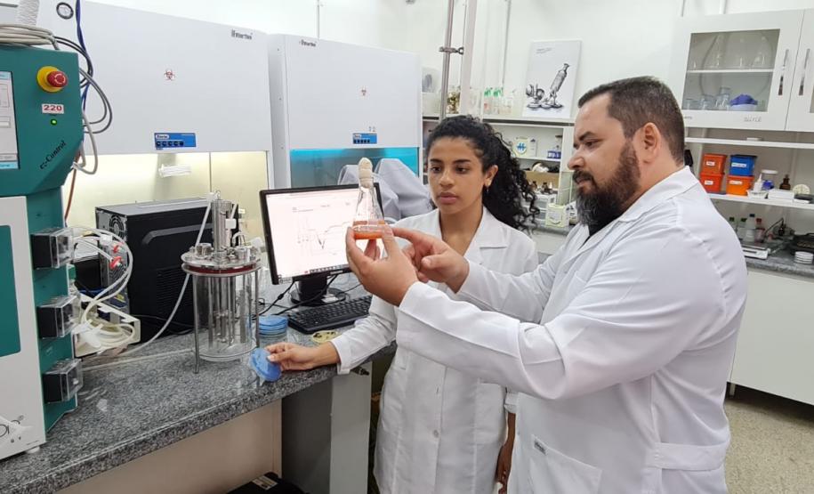 UEL conquista patente por invenção de biofungicida no controle de doenças de plantas