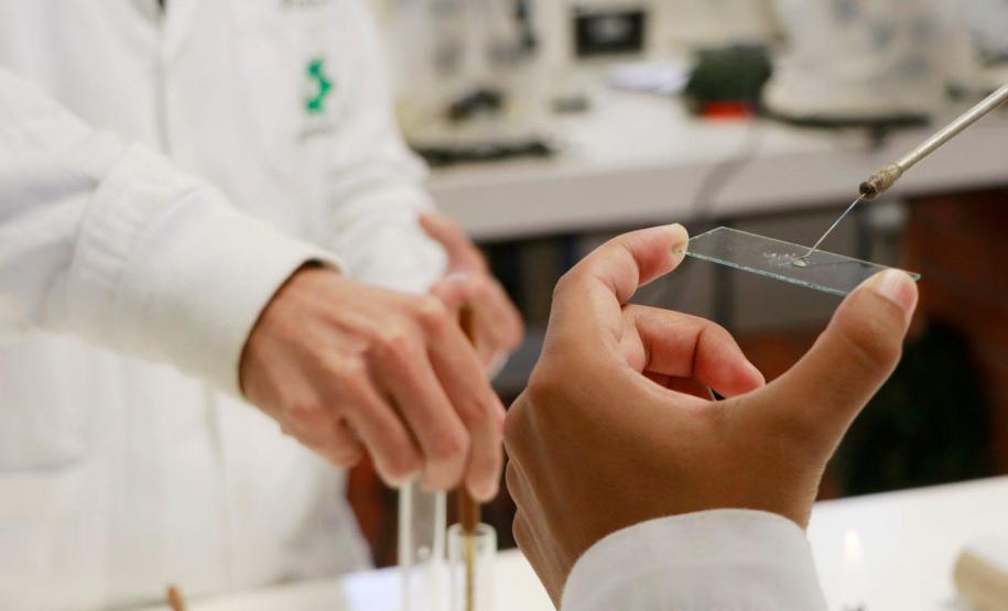 Governo destina R$ 1 milhão para internacionalização das universidades estaduais