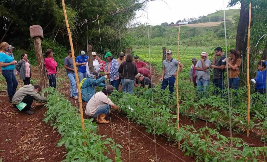Para incentivar a produção agroecológica, IDR-Paraná investe na capacitação de produtores