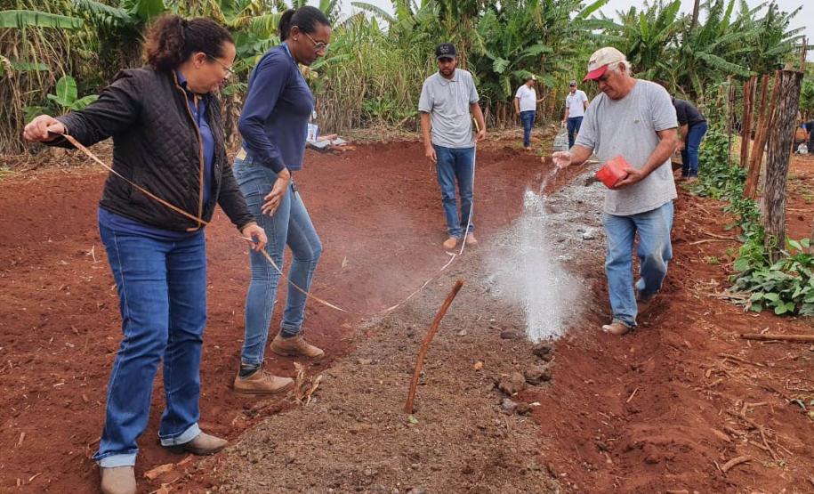 Para incentivar a produção agroecológica, IDR-Paraná investe na capacitação de produtores