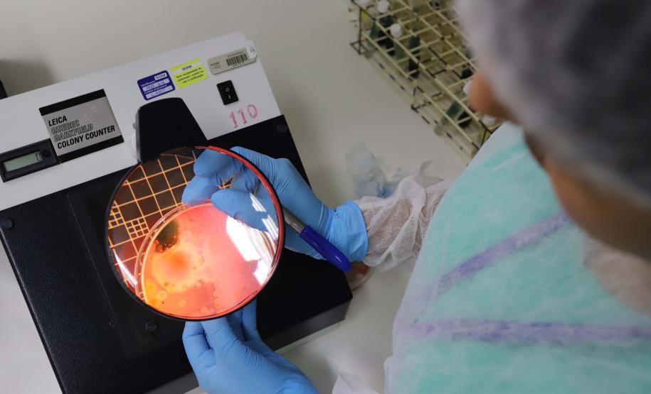 Fundação Araucária liberou R$ 87 milhões para projetos de CT&I em 2022