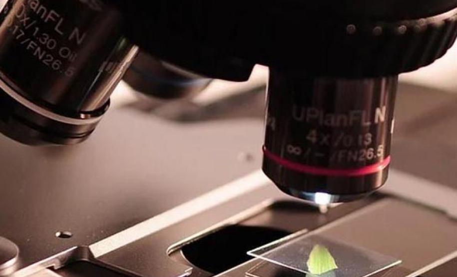 Revistas científicas da UEL alcançam cada vez mais destaque em suas áreas do conhecimento