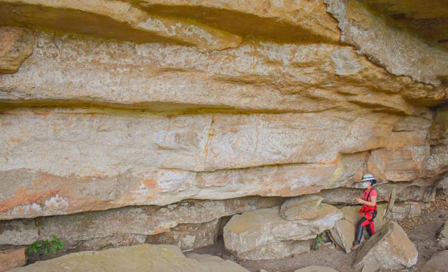 Grupo que reúne professores da UEPG descobre registro rupestre inédito de araucárias no Paraná