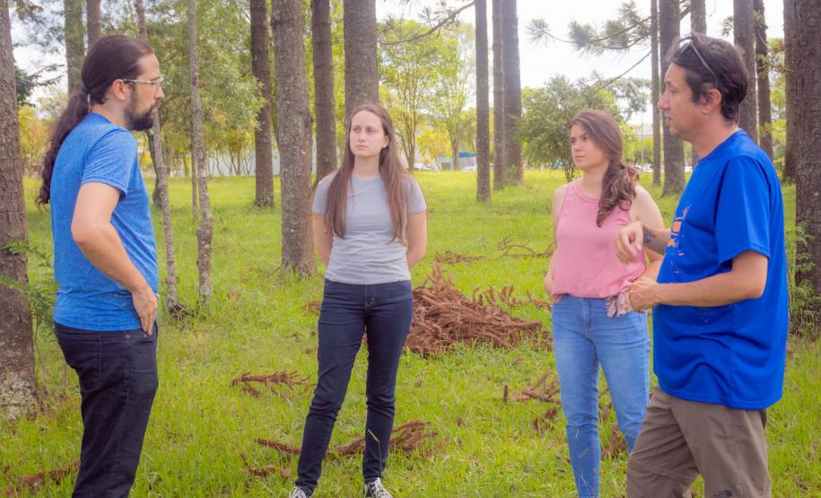 Grupo que reúne professores da UEPG descobre registro rupestre inédito de araucárias no Paraná