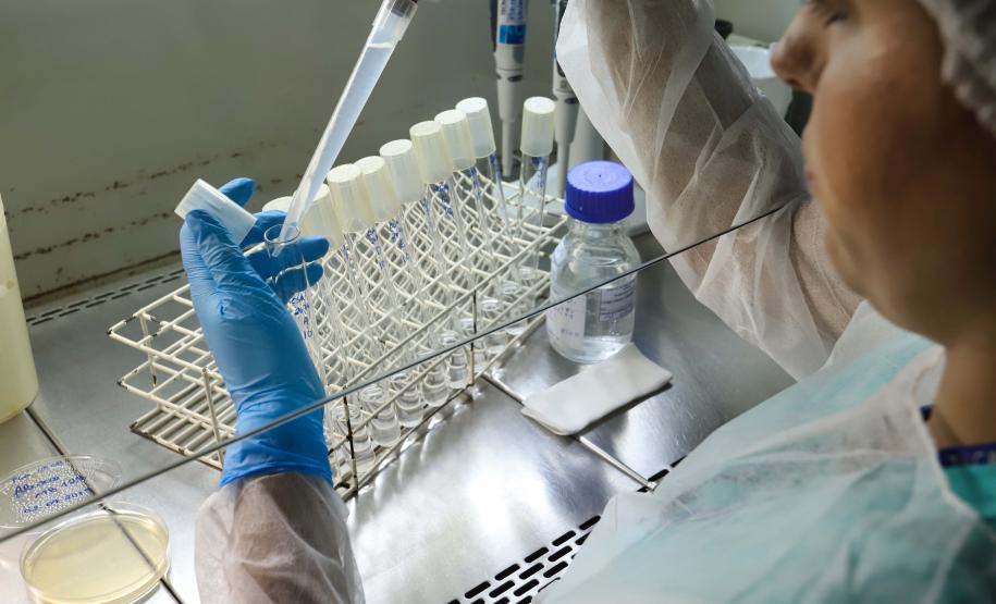 Dia Mundial da Mulher na Ciência: cientistas paranenses destacam desafios e conquistas