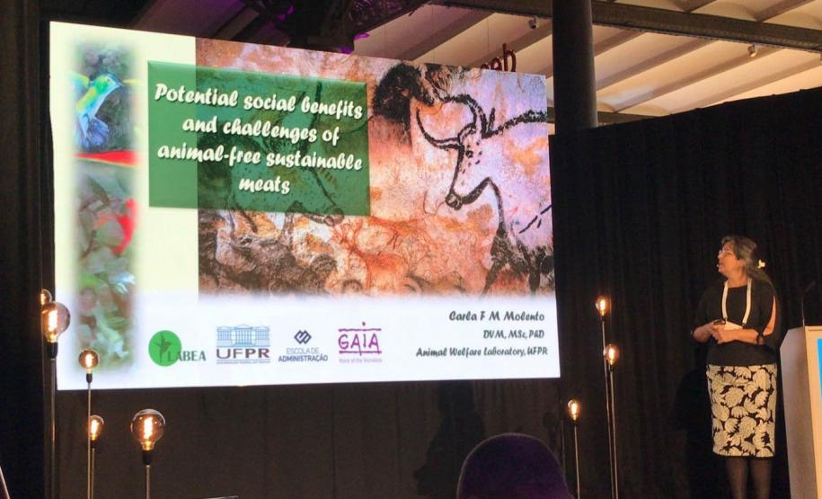 Dia Mundial da Mulher na Ciência: cientistas paranenses destacam desafios e conquistas